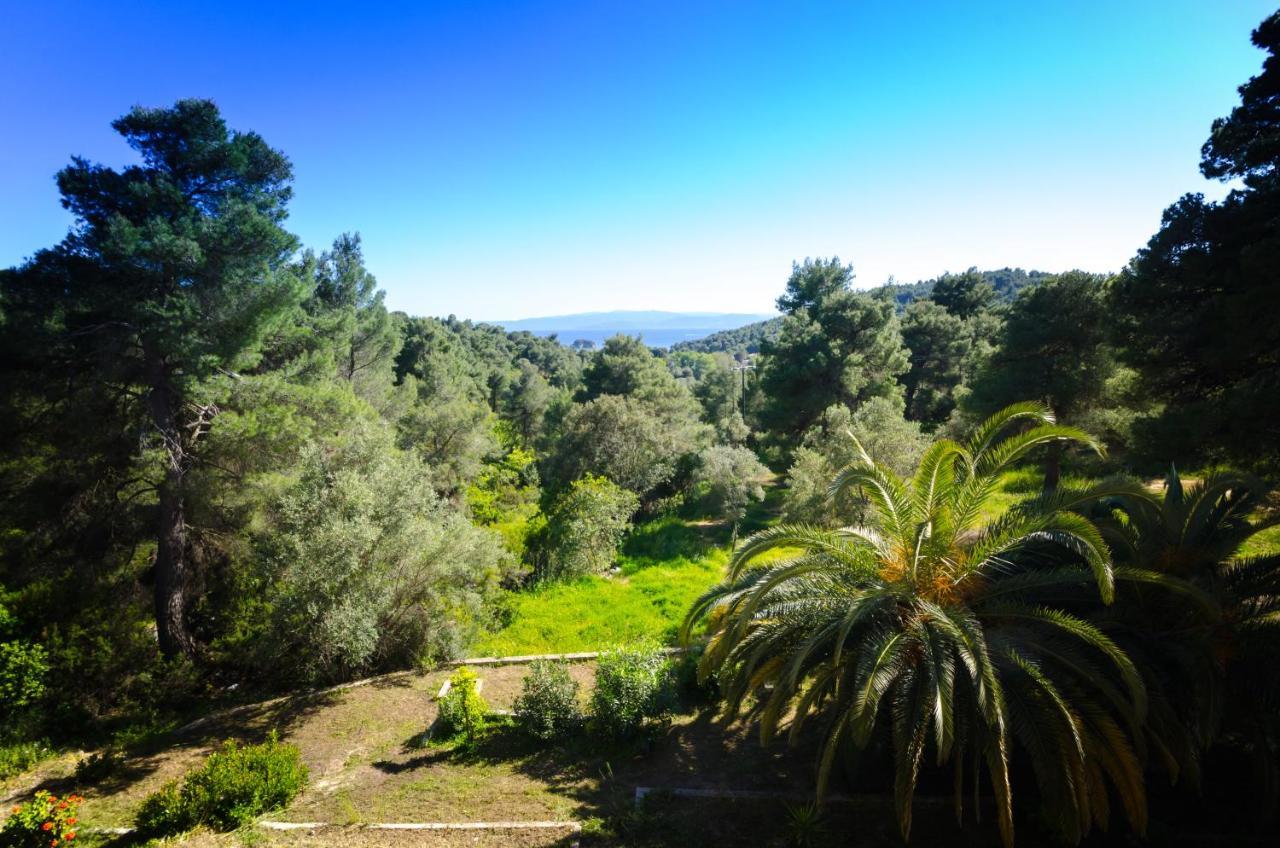 Forest Resort Suites Skiathos Troulos Zewnętrze zdjęcie