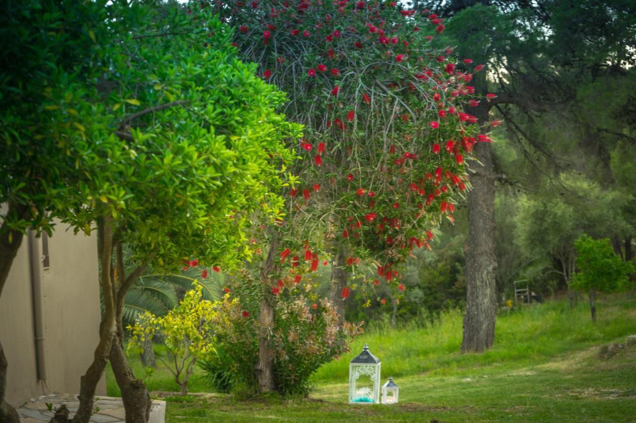Forest Resort Suites Skiathos Troulos Zewnętrze zdjęcie